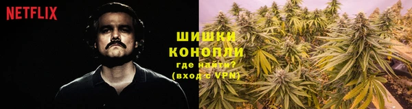 мяу мяу мука Алзамай