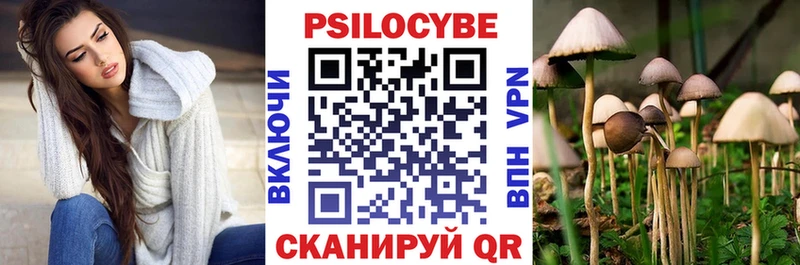 Псилоцибиновые грибы Psilocybe  Канаш 