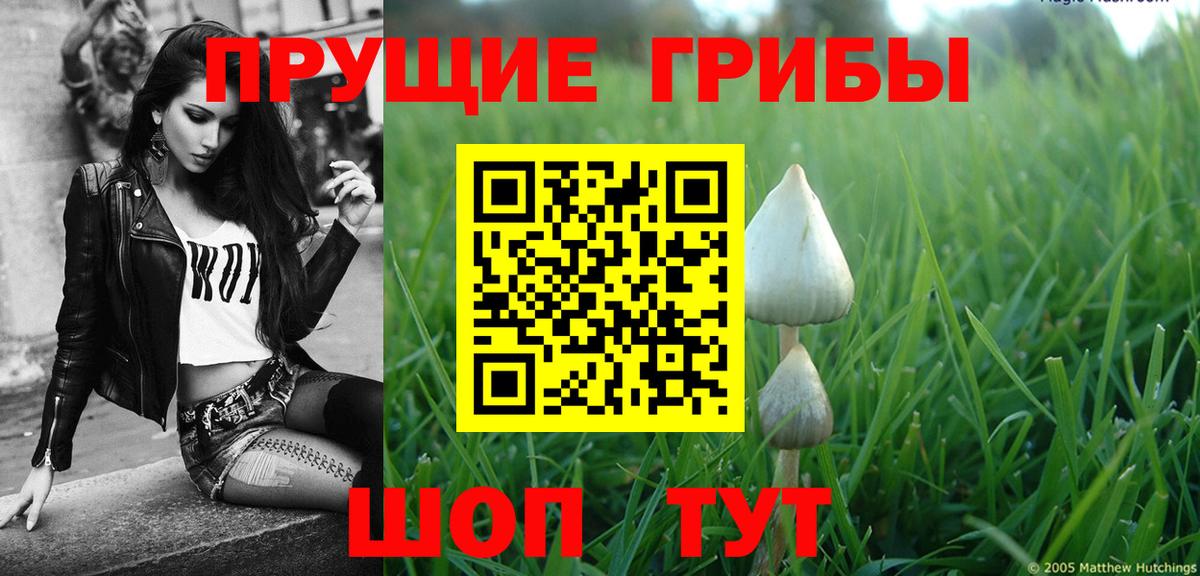 Галлюциногенные грибы MAGIC MUSHROOMS  Вход с VPN  Канаш 