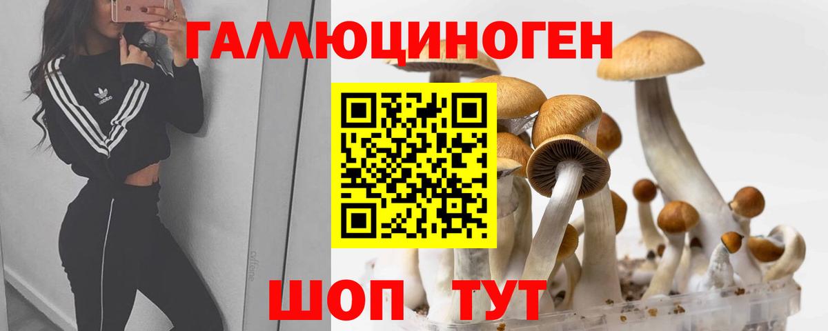 Галлюциногенные грибы Cubensis Канаш